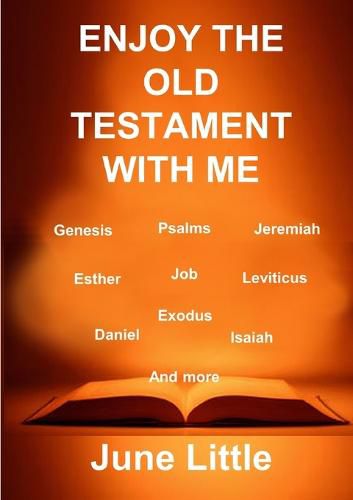 Cover image for Enjoy the Old Testament with Me