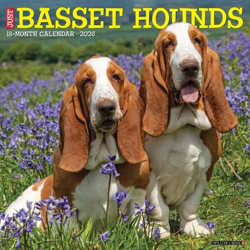 Cover image for Basset Hounds 2026 Wall Calendar