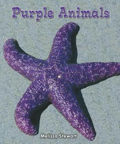 Purple Animals