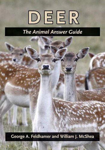 Cover image for Deer: The Animal Answer Guide