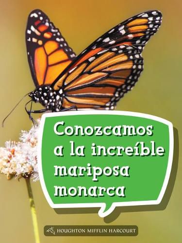 Cover image for Book 089: Conozcamos a la Increible Mariposa Monarca: Leveled Reader, Enrichment Grade 2