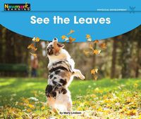 Cover image for See the Leaves Leveled Text