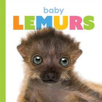 Cover image for Baby Lemurs