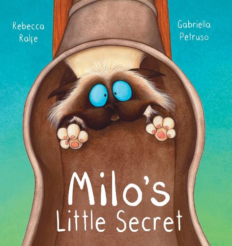 Cover image for Milos Little Secret