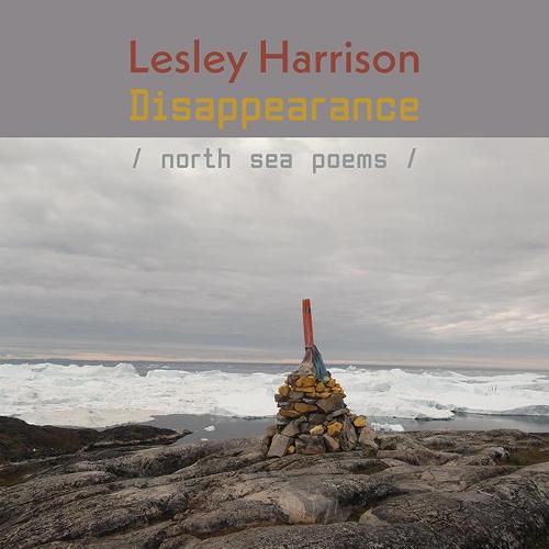 Cover image for Disappearance: North Sea Poems