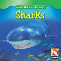 Cover image for Sharks