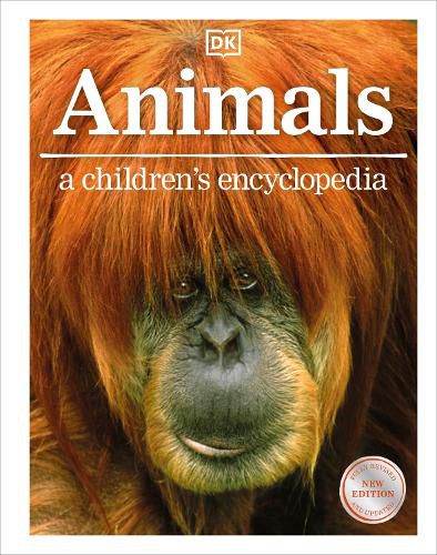 Cover image for Animals