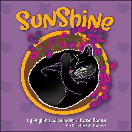 Cover image for Sunshine