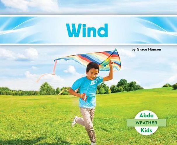 Cover image for Wind