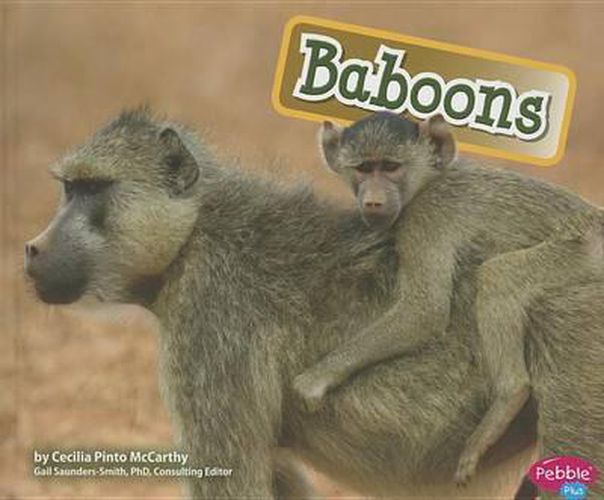 Baboons