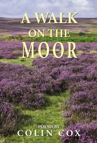 Cover image for A Walk On The Moor