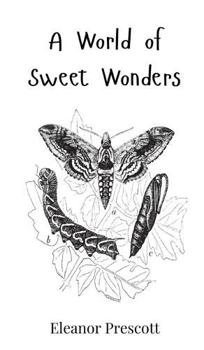 Cover image for A World of Sweet Wonders