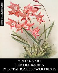 Cover image for Vintage Art: Reichenbachia 20 Botanical Flower Prints: Flora Ephemera for Framing, Home Decor and Collage