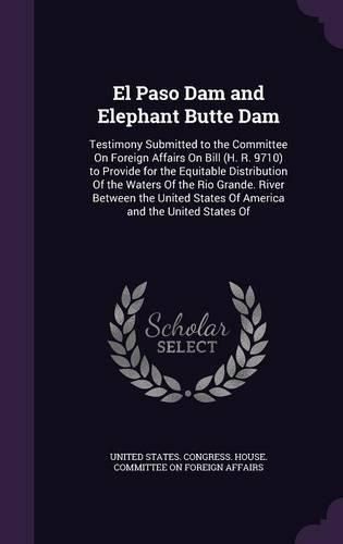 Cover image for El Paso Dam and Elephant Butte Dam