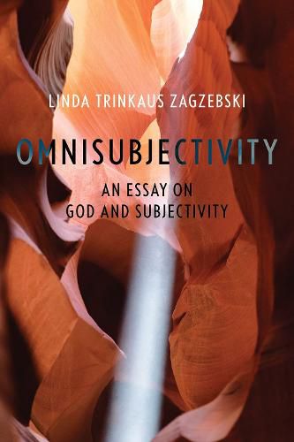 Cover image for Omnisubjectivity