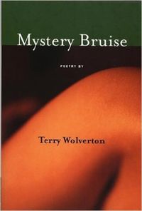Cover image for MYSTERY BRUISE