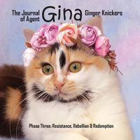 Cover image for The Journal of Agent Gina Ginger Knickers Phase Three