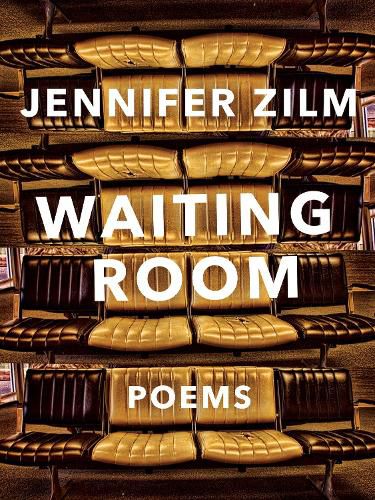 Cover image for Waiting Room