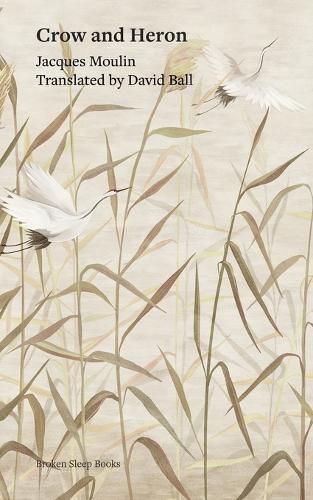 Cover image for Crow and Heron