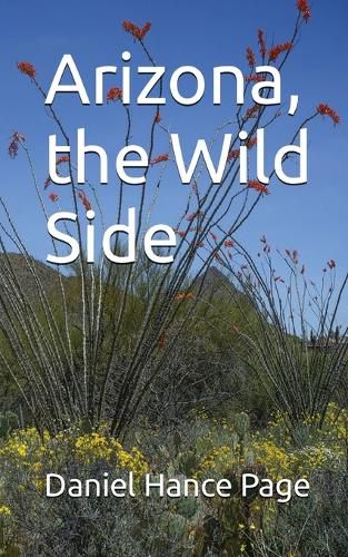 Cover image for Arizona, the Wild Side