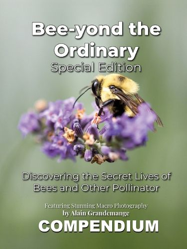 Cover image for Bee-yond the Ordinary