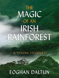 Cover image for The Magic of an Irish Rainforest