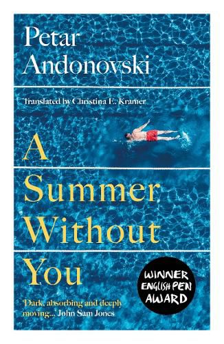 Cover image for A Summer Without You