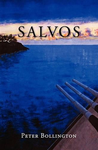 Cover image for Salvos