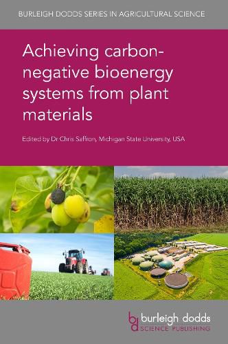 Cover image for Achieving Carbon-Negative Bioenergy Systems from Plant Materials