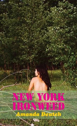 Cover image for New York Ironweed