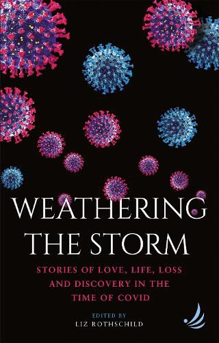 Cover image for Weathering the Storm