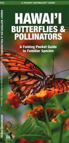 Cover image for Hawai'i Butterflies and Pollinators: A Folding Pocket Guide to Familiar Species