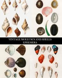 Cover image for Vintage Molluscs and Shell Ephemera: Conchology Decorative Paper for Collages, Decoupage and Junk Journals