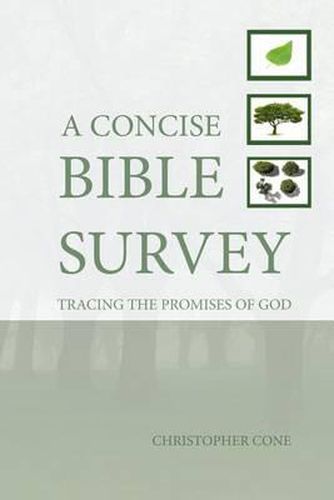 Cover image for A Concise Bible Survey: Tracing the Promises of God