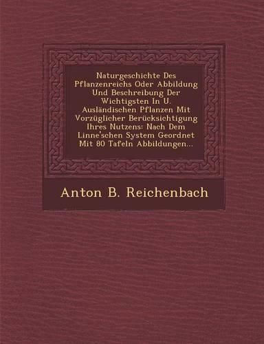Cover image for Naturgeschichte Des Pflanzenreichs Oder Abbildung Und Beschreibung Der Wichtigsten in U. Auslandischen Pflanzen Mit Vorzuglicher Berucksichtigung Ihres Nutzens: Nach Dem Linne'schen System Geordnet Mit 80 Tafeln Abbildungen...