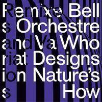 Cover image for Who Designs Natures How?