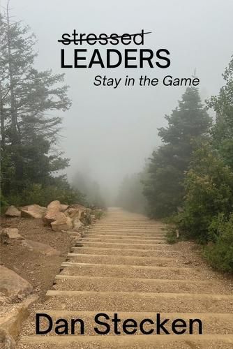 Cover image for Stressed Leaders