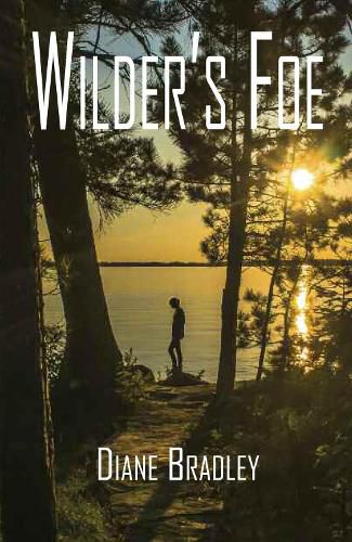 Cover image for Wilder's Foe