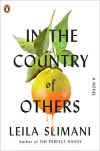 Cover image for In the Country of Others: A Novel