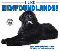 Cover image for I Like Newfoundlands!