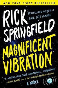 Cover image for Magnificent Vibration