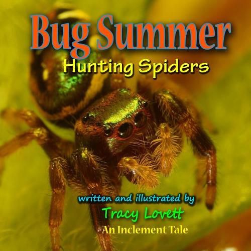 Cover image for Bug Summer--Hunting Spiders