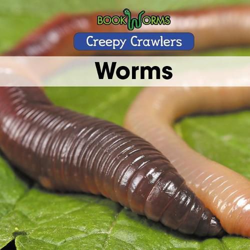 Cover image for Worms