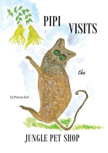 Cover image for Pipi Visits the Jungle Pet Shop