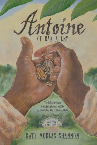 Cover image for Antoine of Oak Alley: The Unlikely Origin of Southern Pecans and the Enslaved Man Who Cultivated Them