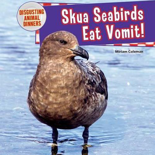 Cover image for Skua Seabirds Eat Vomit!