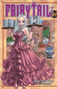Cover image for Fairy Tail 14