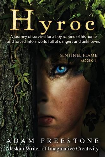 Cover image for Hyroc
