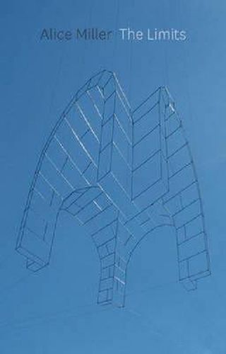 Cover image for The Limits