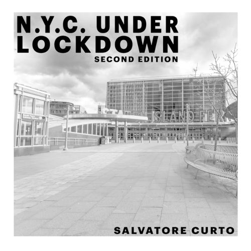 Cover image for N.Y.C. Under Lockdown